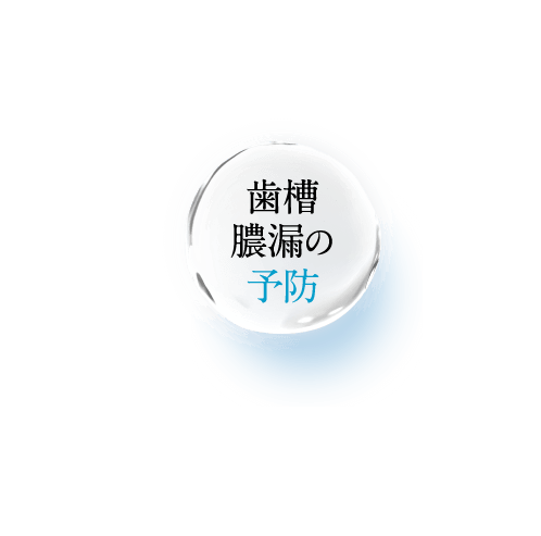 歯石沈着の防止