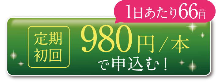 980円で申込む！
