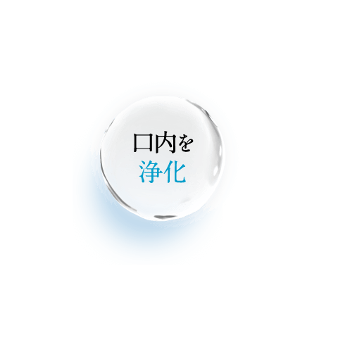 口内を浄化